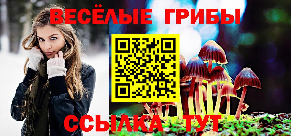 Псилоцибиновые грибы Cubensis  Вход с VPN  Вольск 